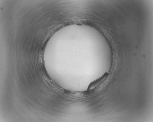 X0000051260768200507152215