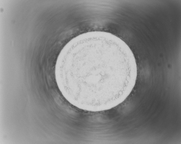 X0000051260769200507152215