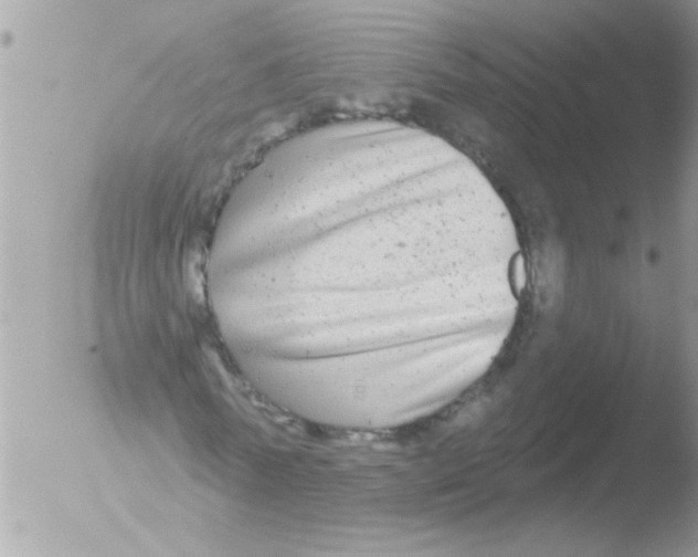 X0000051260770200507152215