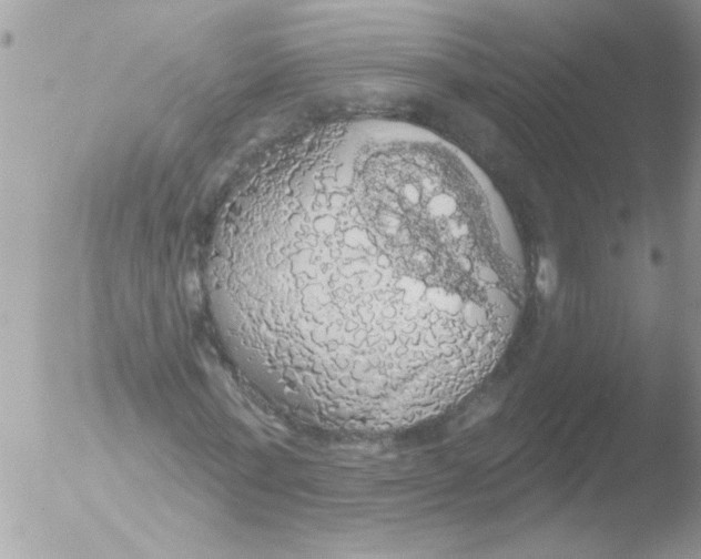 X0000051260771200507152215