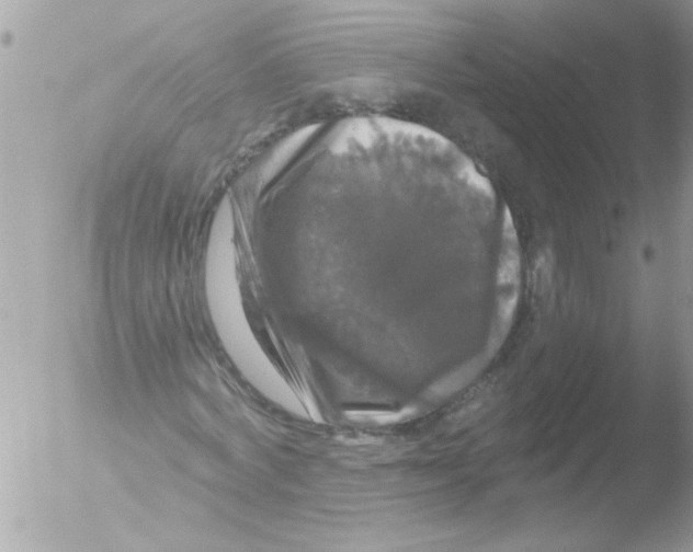 X0000051260772200507152215