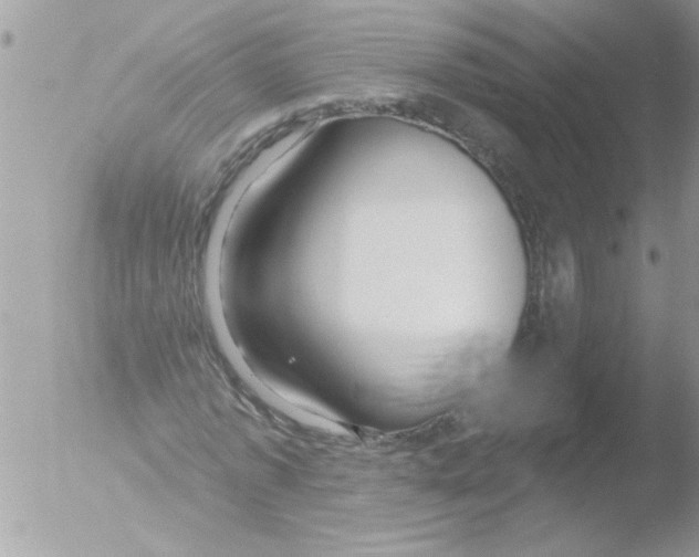 X0000051260773200507152215