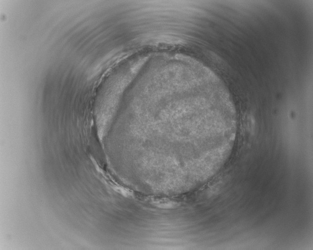 X0000051260774200507152215