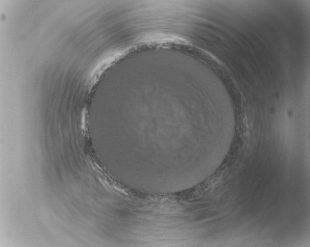 X0000051260775200507152215