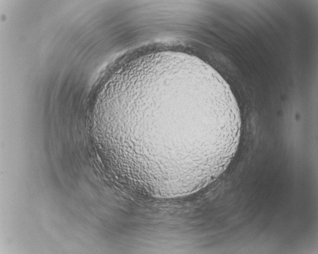 X0000051260776200507152215