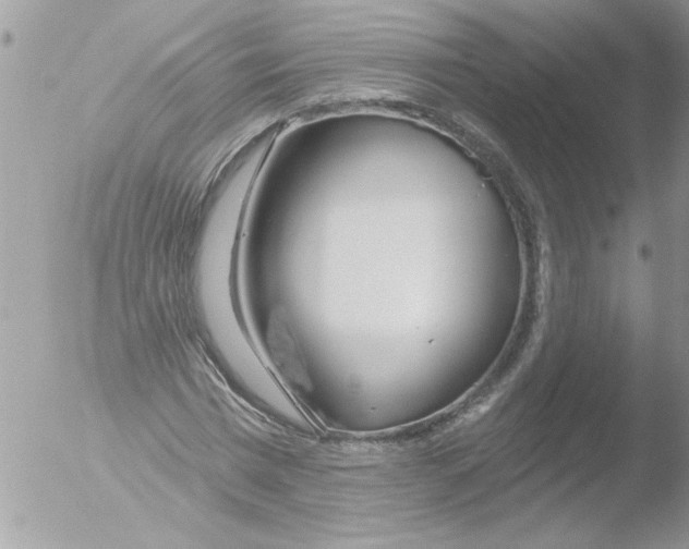 X0000051260777200507152215