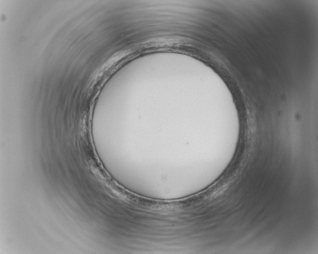 X0000051260778200507152214