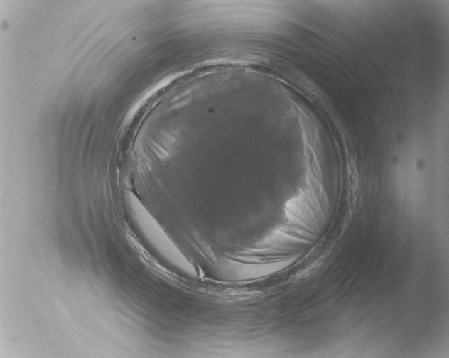 X0000051260779200507152214