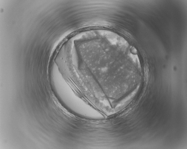 X0000051260780200507152214