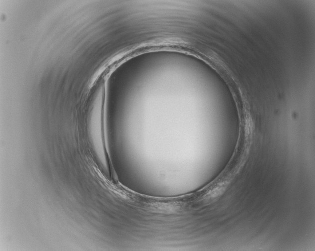 X0000051260781200507152214