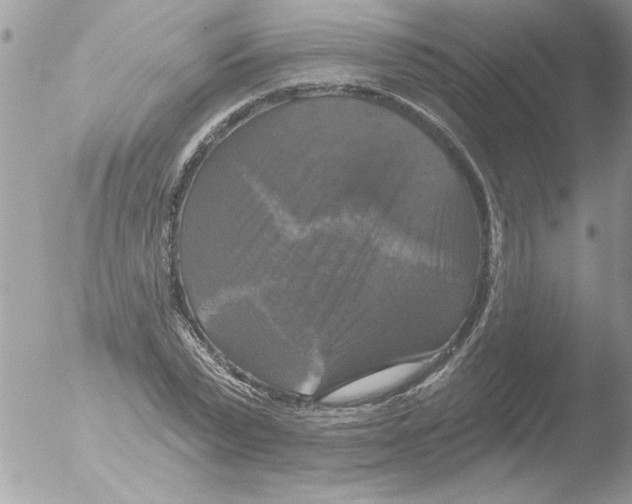 X0000051260783200507152214