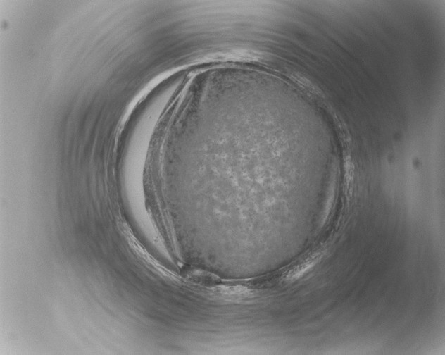 X0000051260784200507152214