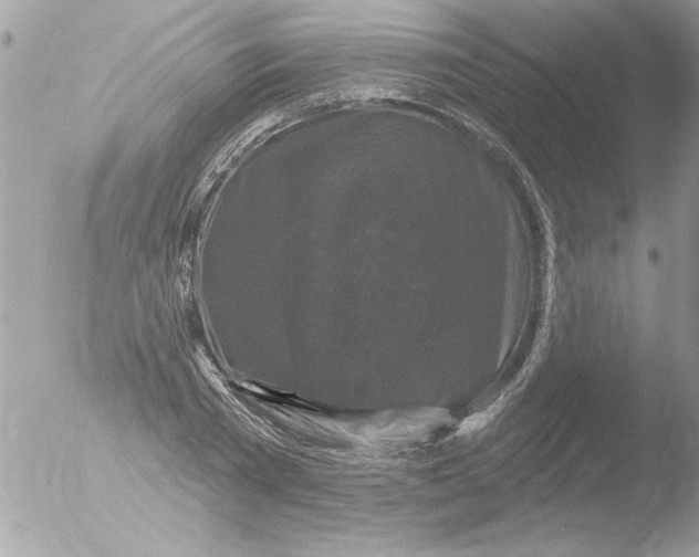 X0000051260785200507152214