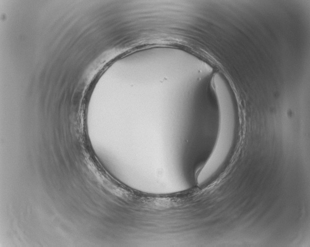 X0000051260787200507152214