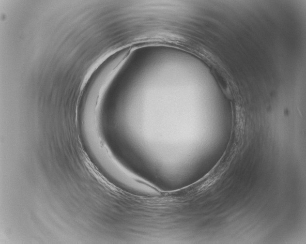 X0000051260788200507152214