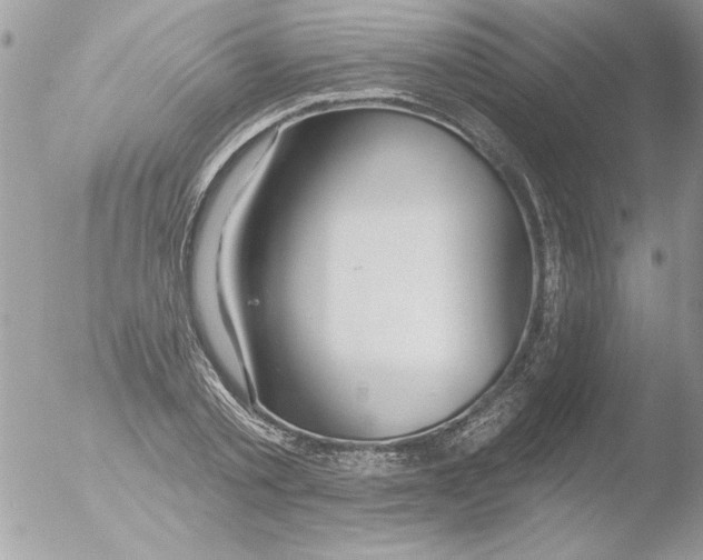 X0000051260789200507152214