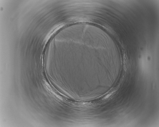 X0000051260790200507152214