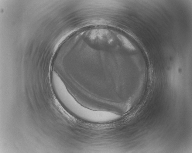 X0000051260791200507152214