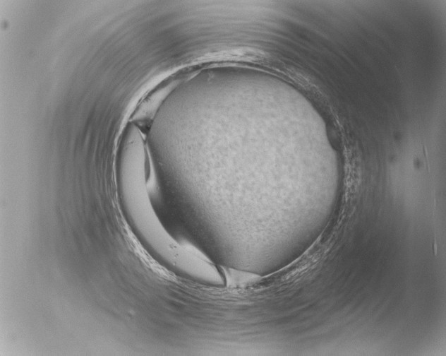 X0000051260792200507152214