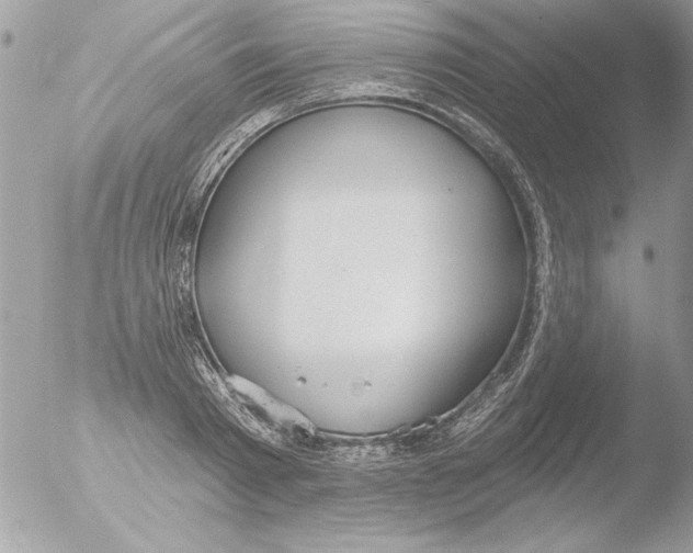 X0000051260793200507152214