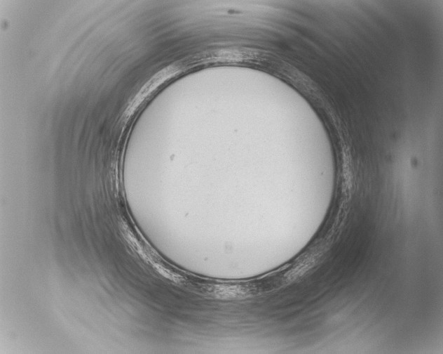 X0000051260794200507152214