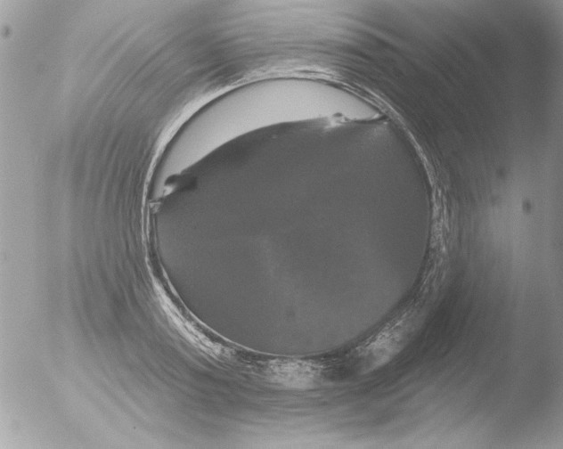 X0000051260795200507152214