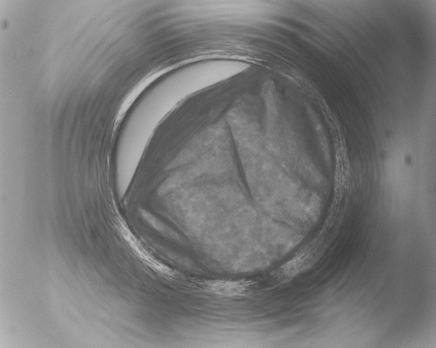 X0000051260796200507152214