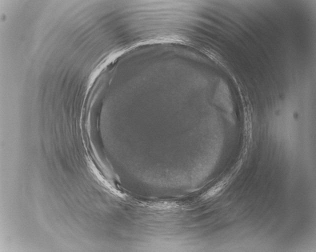 X0000051260797200507152214