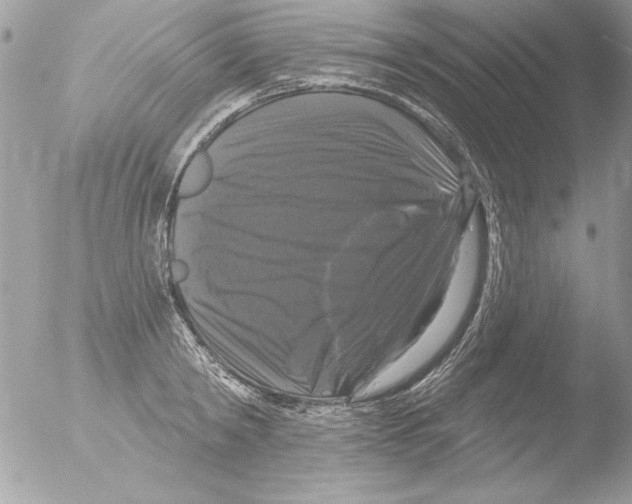 X0000051260798200507152214