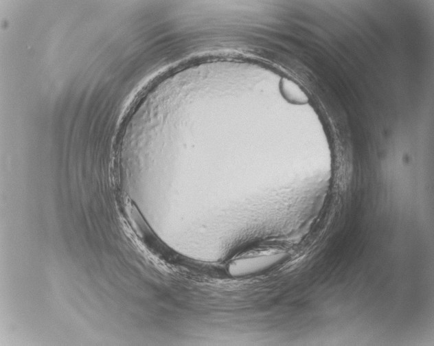 X0000051260799200507152214