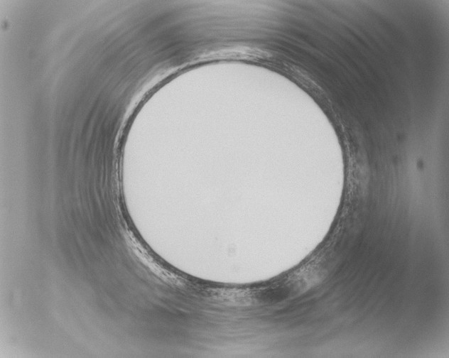 X0000051260800200507152214