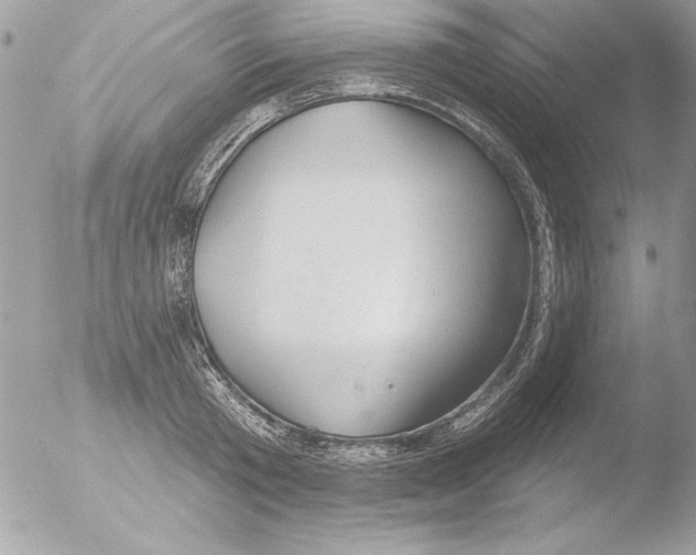 X0000051260801200507152214