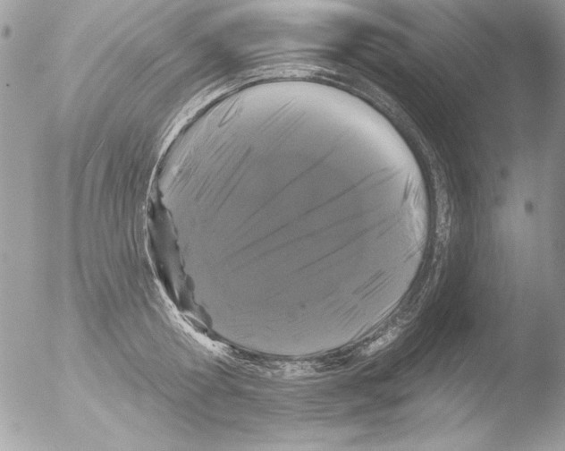 X0000051260802200507152214