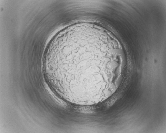 X0000051260803200507152214