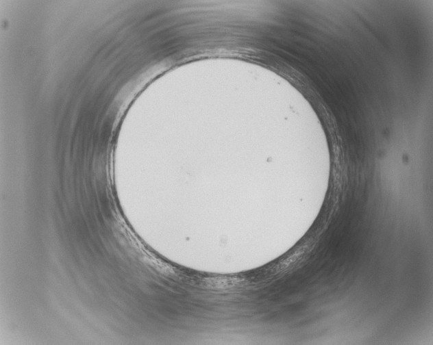 X0000051260804200507152214