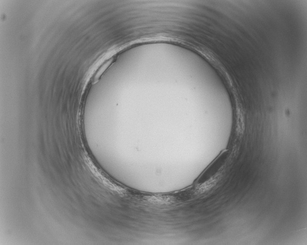 X0000051260805200507152214