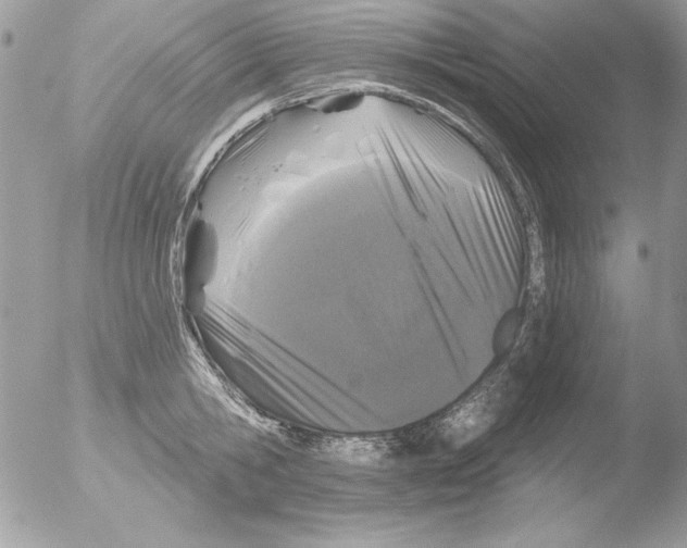 X0000051260806200507152214