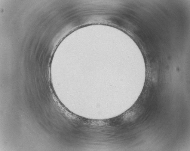 X0000051260807200507152214