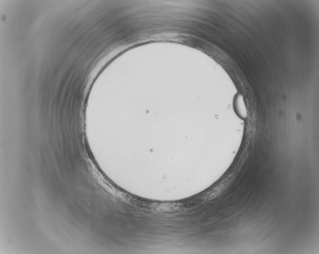 X0000051260808200507152214