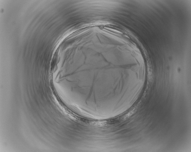 X0000051260810200507152214