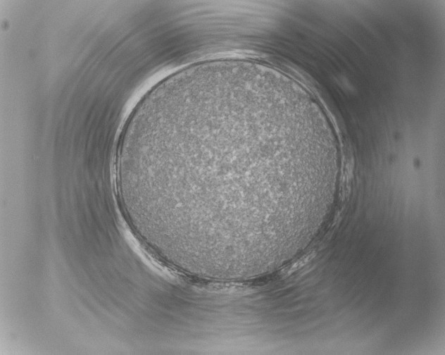 X0000051260811200507152214