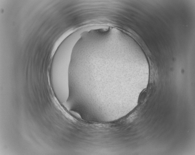 X0000051260812200507152214