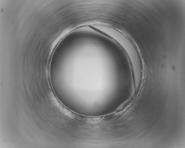 X0000051260813200507152214