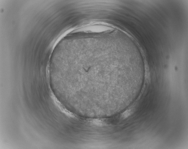 X0000051260814200507152214