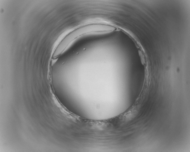 X0000051260815200507152214