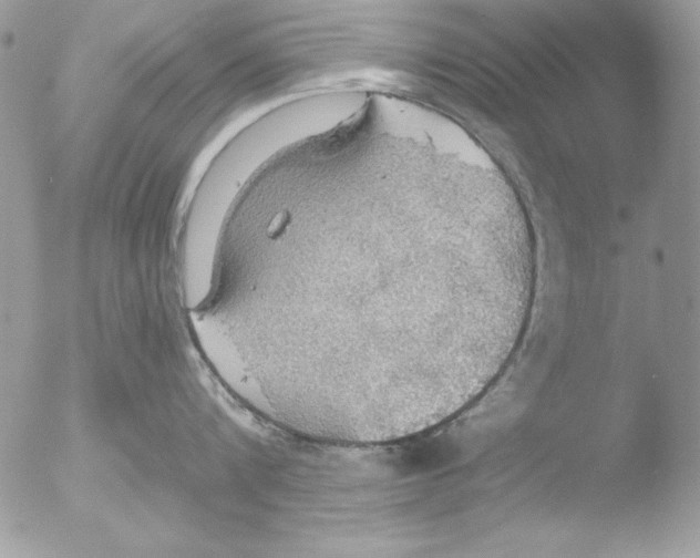 X0000051260816200507152214