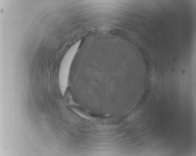 X0000051260818200507152213