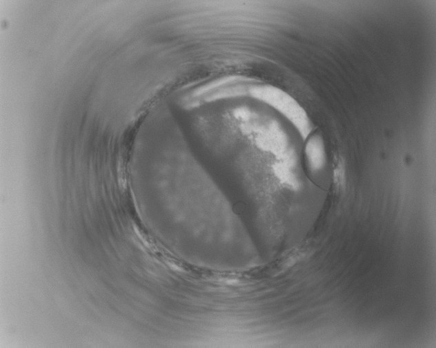 X0000051260819200507152213