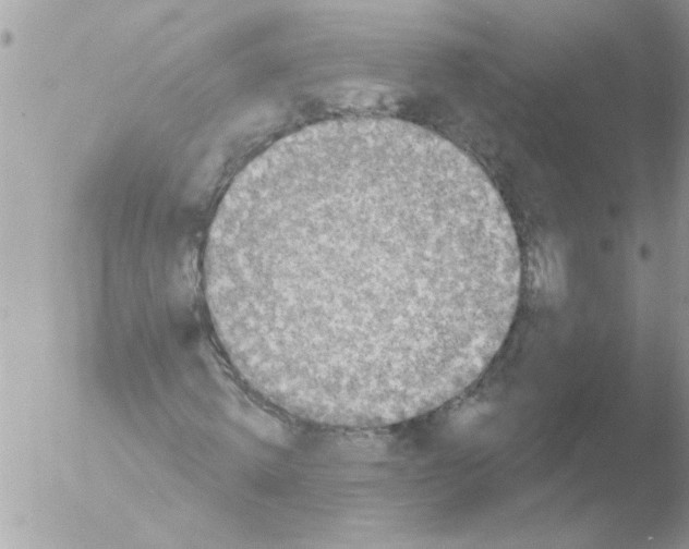 X0000051260820200507152213