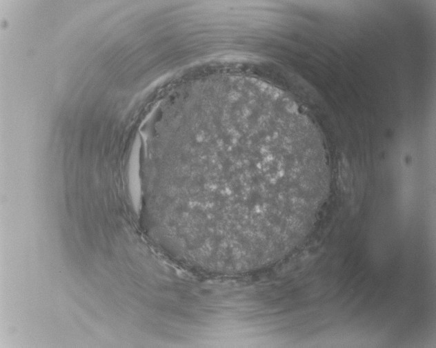 X0000051260821200507152213